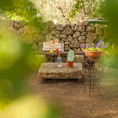 L'alcova Nei Trulli - La Vite * 치스테르니노